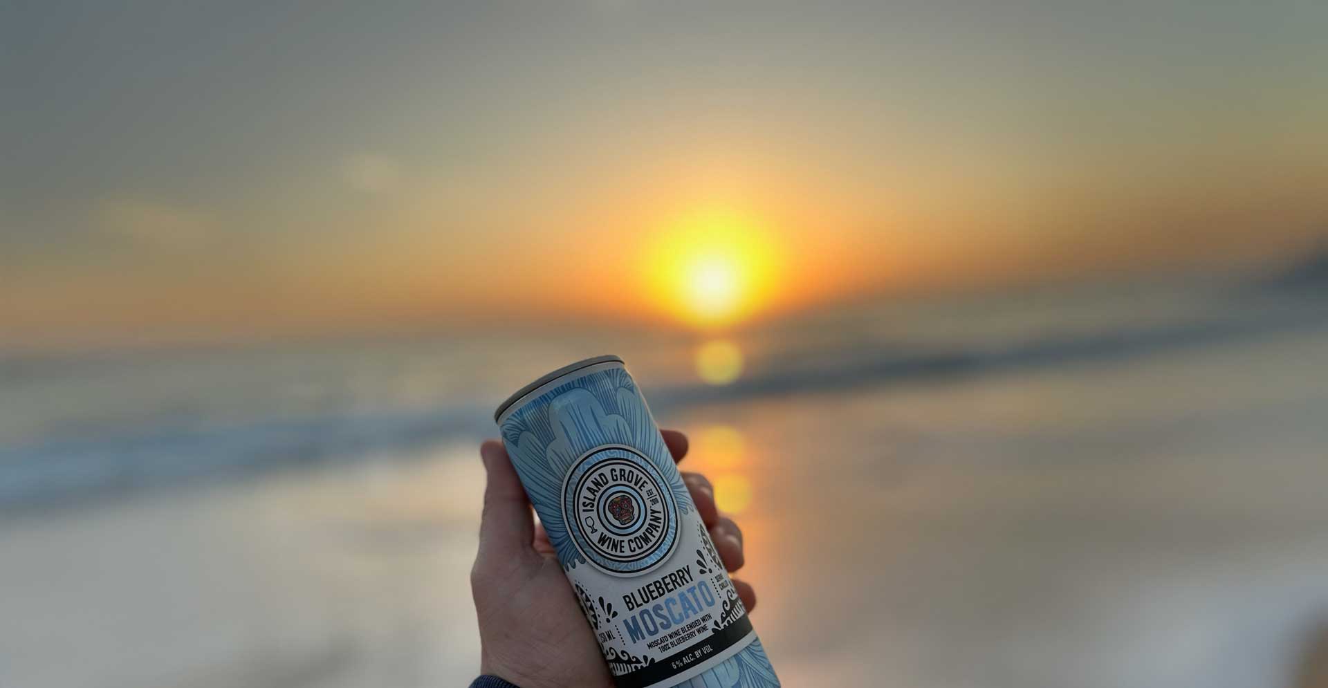 Canned Wine vs. Hard Seltzer: An Honest Florida Take