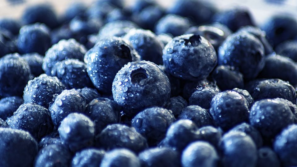 How Blueberry Wine Ends Up Tasting Like a Real Red