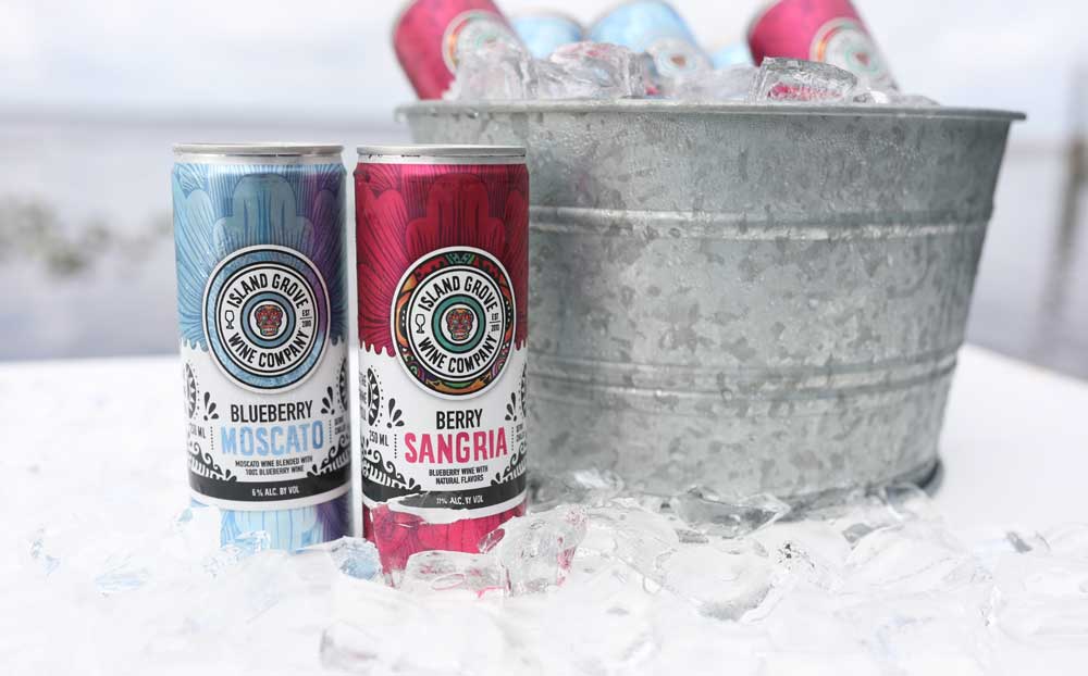 Is Canned Wine Actually Good? An Honest Case for the Can